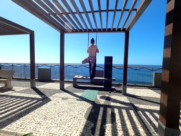 Wing Yoga for two