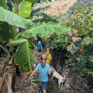 Kinder entdecken die Bananen Plantage in Madeira