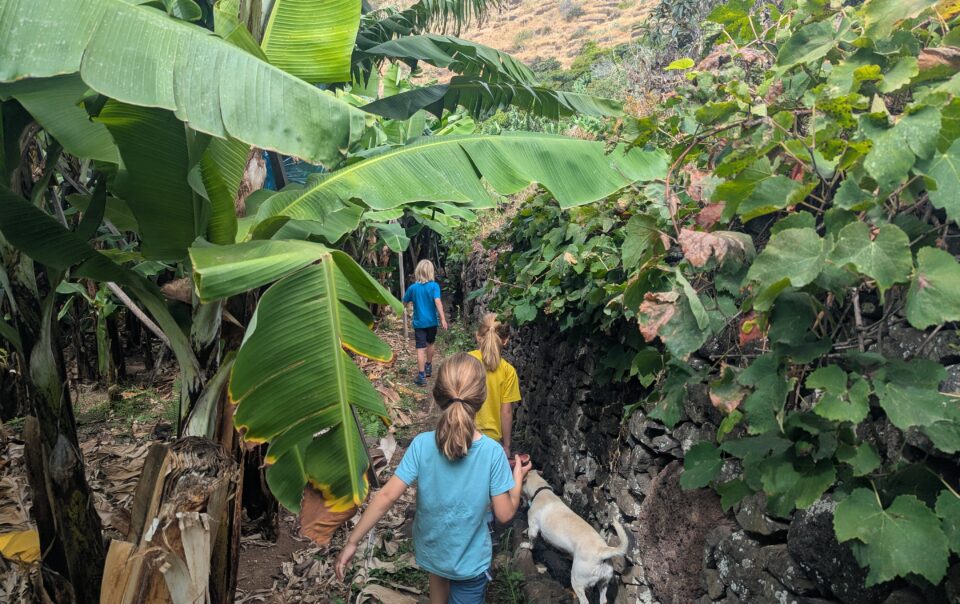 Madeira mit Kindern